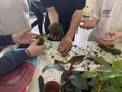 Kokedama bauen